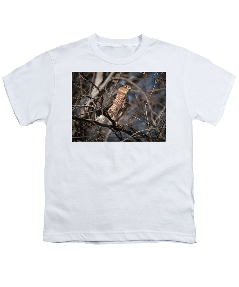 Hawk Youth T-Shirt featuring the photograph Adult Coopers Hawk by Rick Mosher