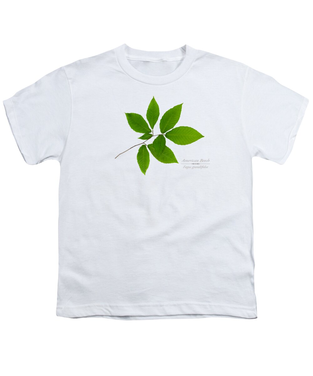 Leaves Youth T-Shirt featuring the mixed media American Beech by Christina Rollo