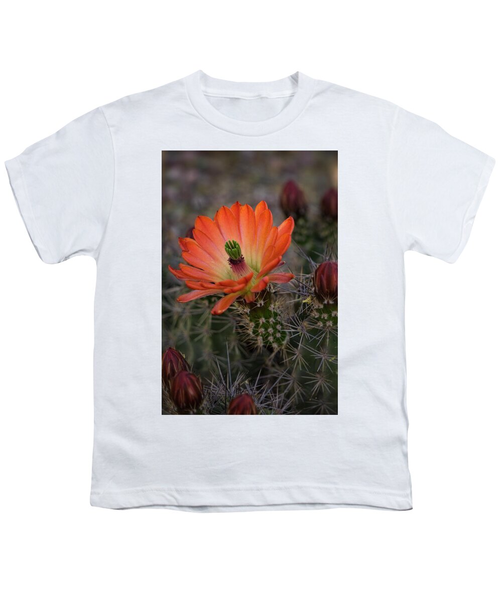Arizona Youth T-Shirt featuring the photograph An Orange Beauty of a Hedgehog by Saija Lehtonen