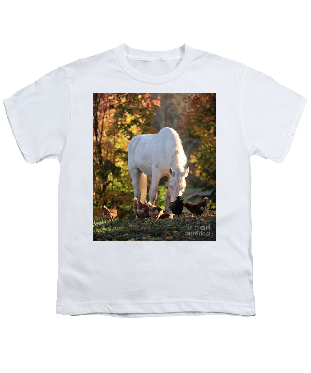 Rescue Horse Youth T-Shirt featuring the photograph Annie and the Hens by Carien Schippers