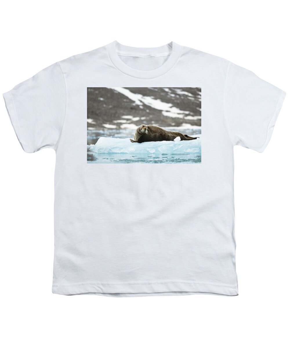 Arctic Youth T-Shirt featuring the photograph Arctic Bearded Seal by Lauri Novak