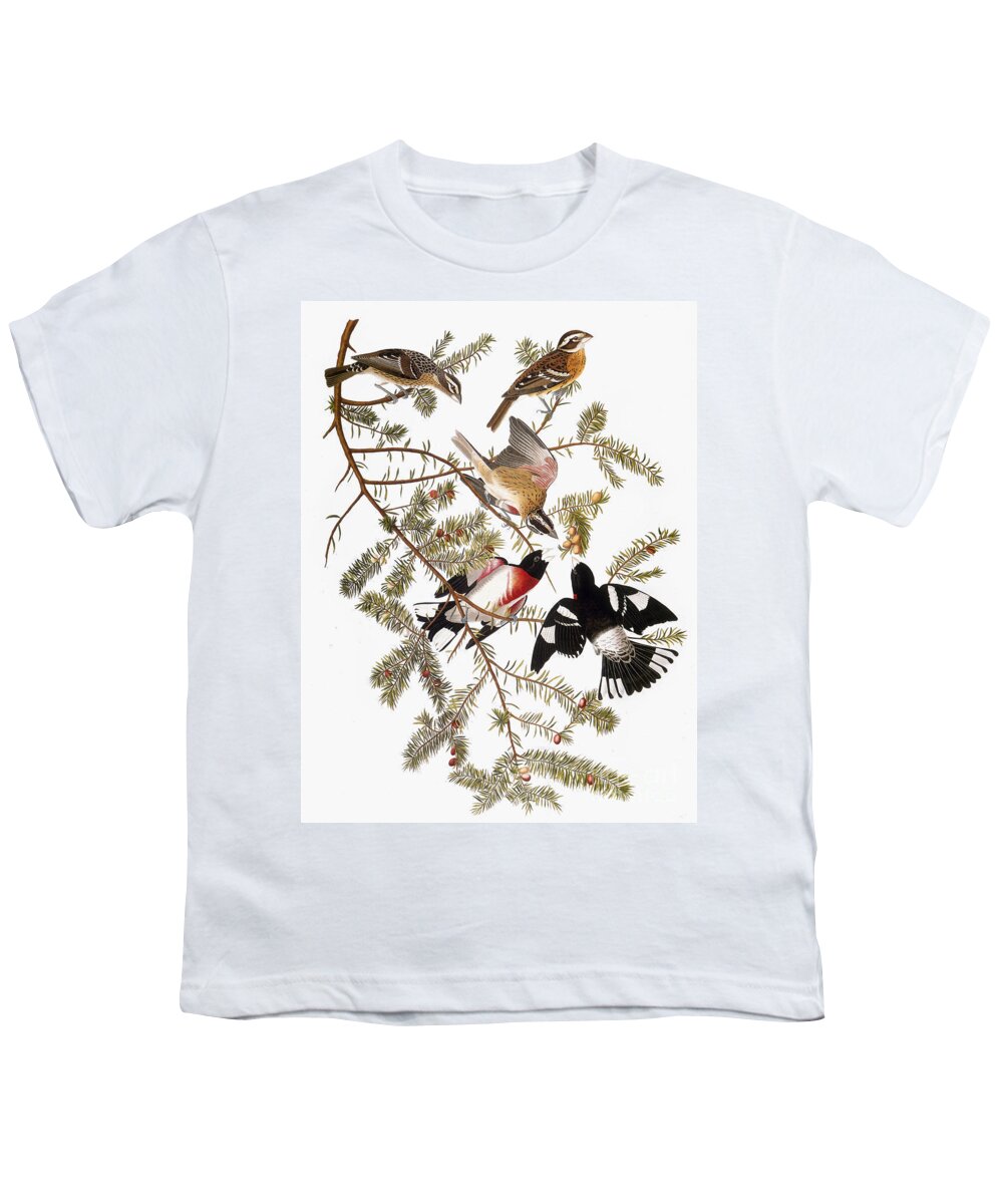 1838 Youth T-Shirt featuring the photograph Audubon: Grosbeak by Granger