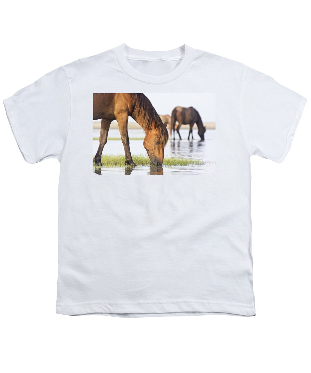 Wild Youth T-Shirt featuring the photograph Banker Horses on Tidal Flat by Bob Decker
