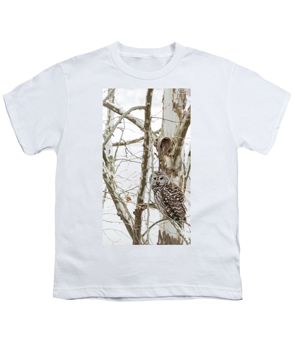 Owl Youth T-Shirt featuring the photograph Barred Owl by Holly Ross