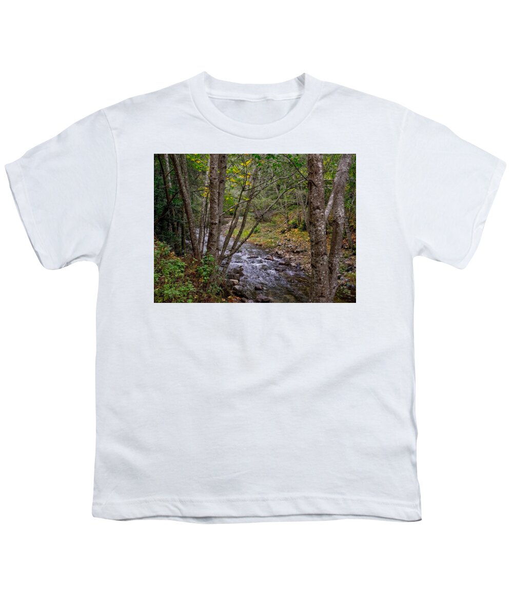 River Youth T-Shirt featuring the photograph Big Sur River Near the Grange Hall by Derek Dean