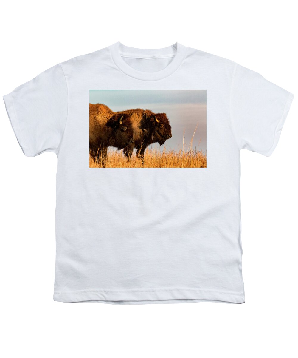 Jay Stockhaus Youth T-Shirt featuring the photograph Bison Pair by Jay Stockhaus