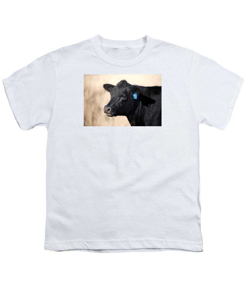 Black Angus Youth T-Shirt featuring the photograph Black Angus Cow by Todd Klassy