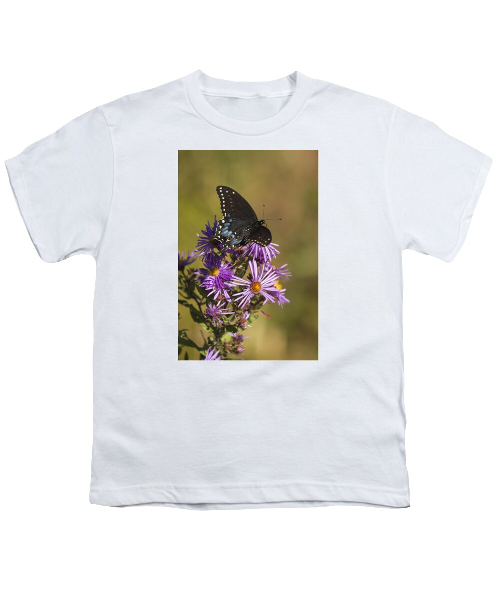 Black Swallowtail Youth T-Shirt featuring the photograph Black Swallowtail and Aster 2013-1 by Thomas Young