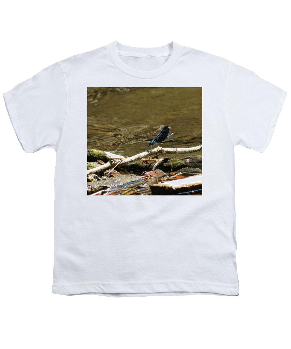 Insect Youth T-Shirt featuring the photograph Blue Beauty by Azthet Photography