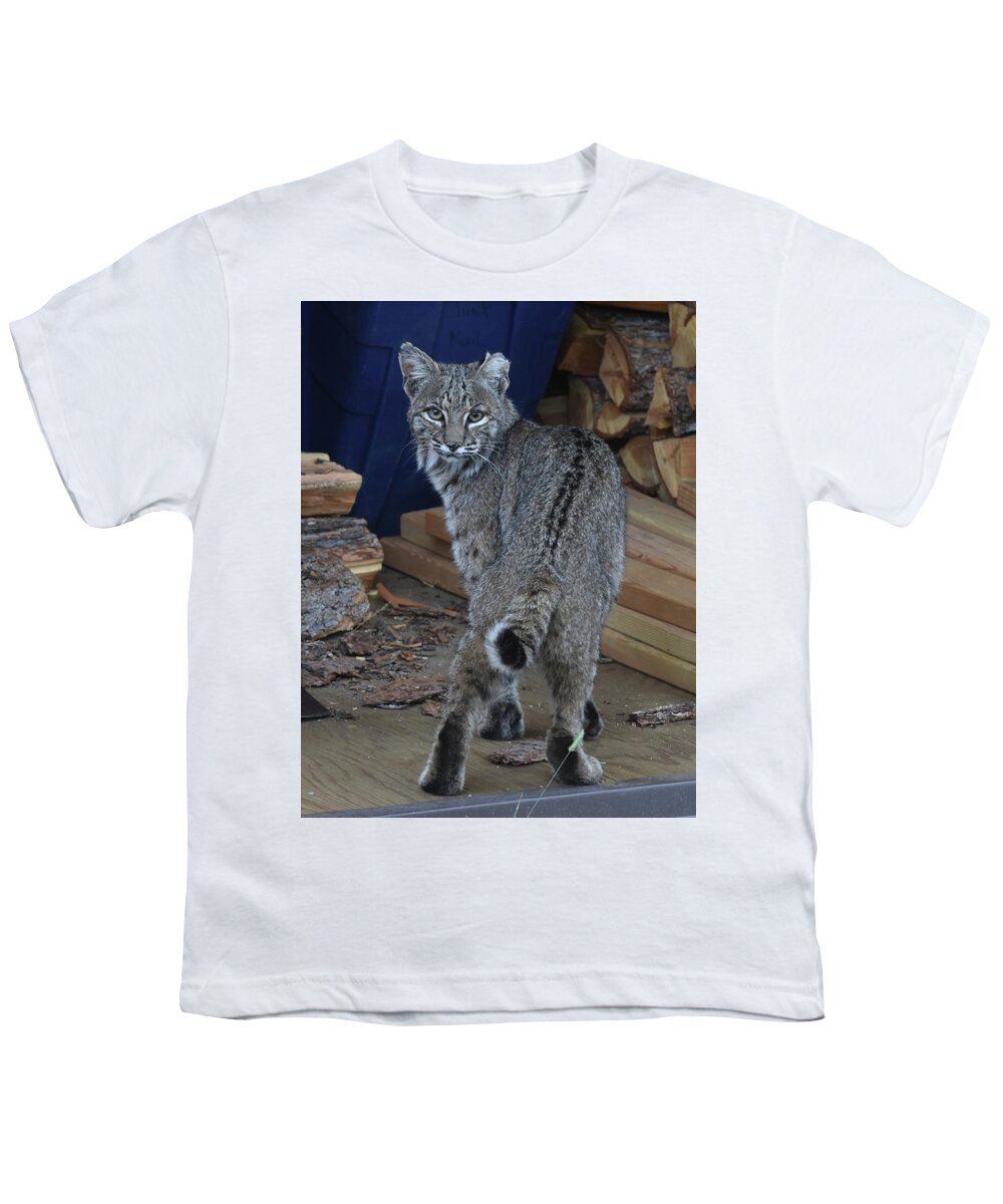 Bobcat Youth T-Shirt featuring the photograph Bobcat by Ben Foster