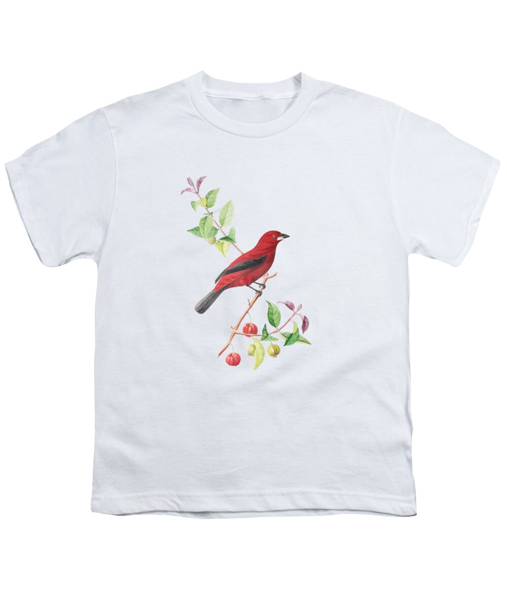 Brazilian Youth T-Shirt featuring the painting Brazilian Tanager by Philip Ralley