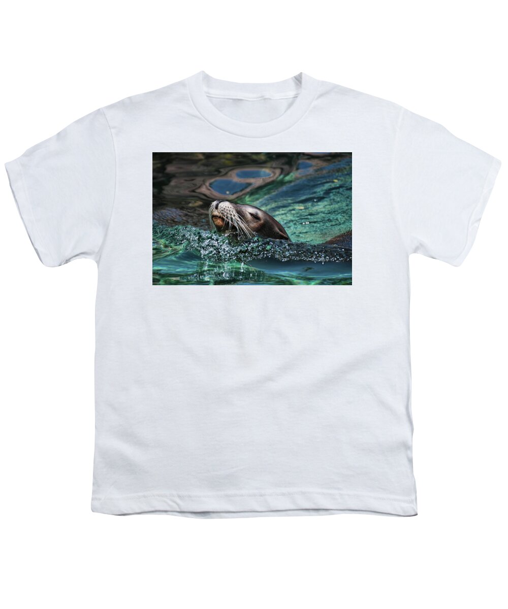 Seal Youth T-Shirt featuring the photograph California Dreaming by Allen Beatty
