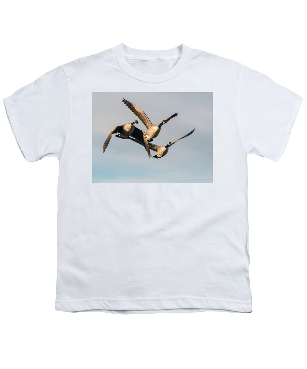 Canada Youth T-Shirt featuring the photograph Canada Geese 0791-121217-1cr by Tam Ryan
