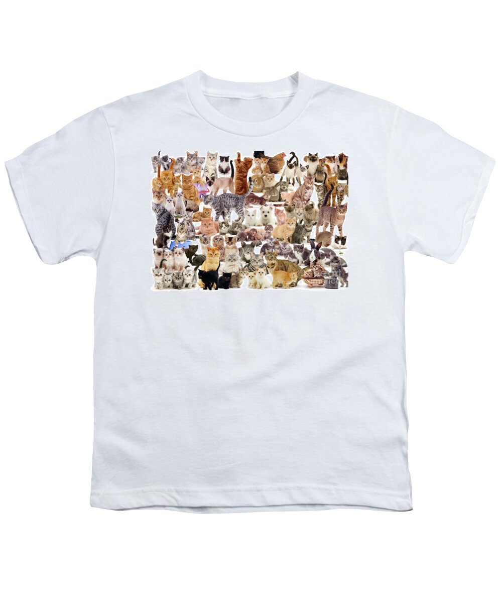 Cat Youth T-Shirt featuring the photograph Cat Montage by Warren Photographic