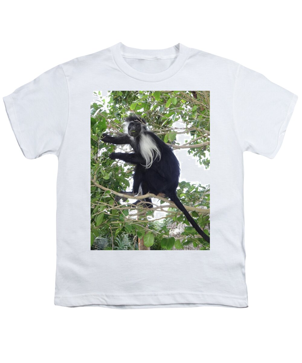 Exploramum Youth T-Shirt featuring the photograph Colobus Monkey eating leaves in a tree by Exploramum Exploramum