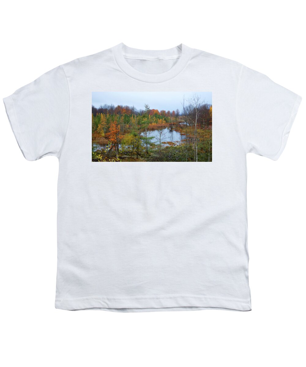 Lake Youth T-Shirt featuring the photograph Color on the Betsie by Linda Kerkau