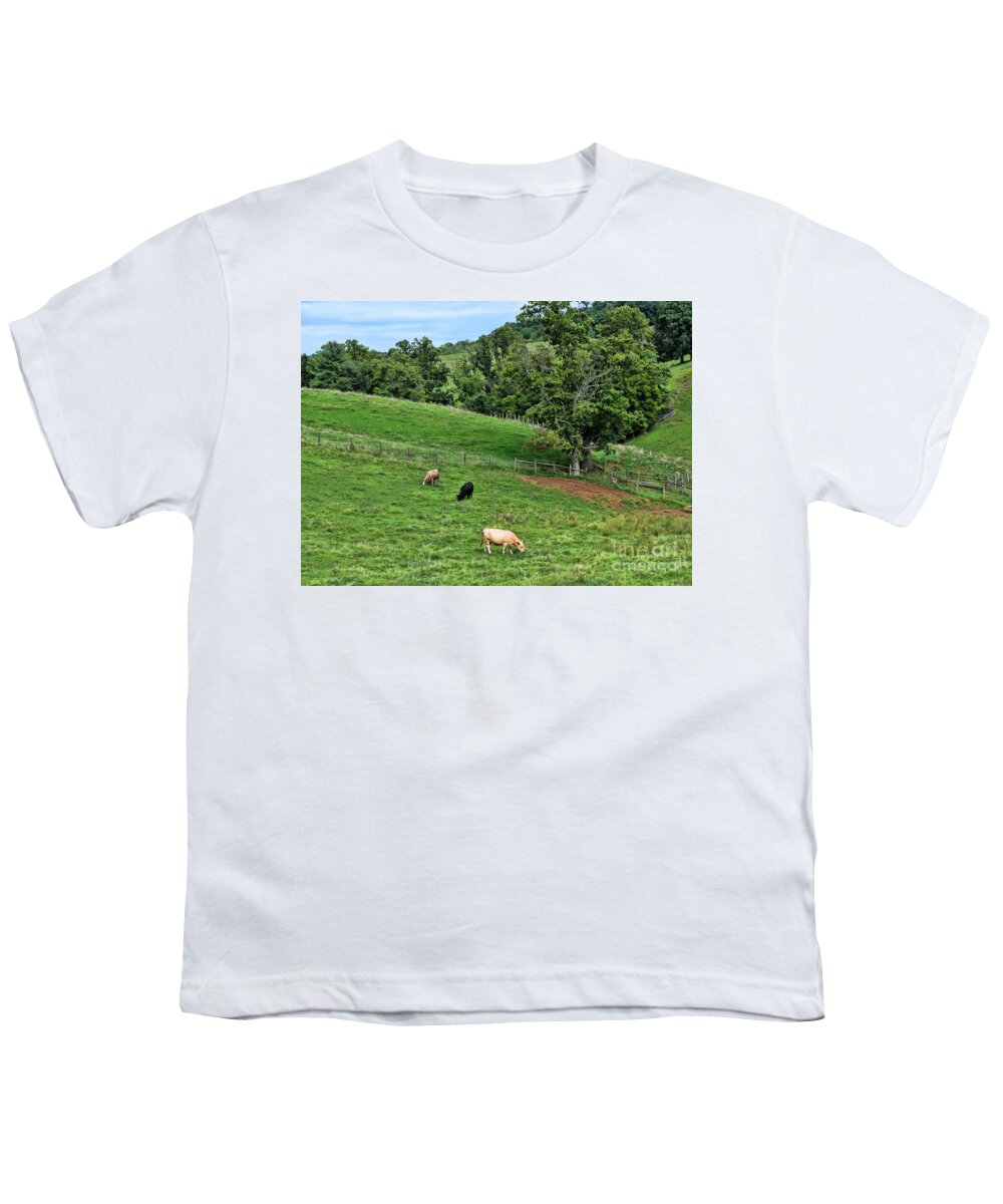 Cows Youth T-Shirt featuring the photograph Country Views - Cows in The Pasture by Kerri Farley