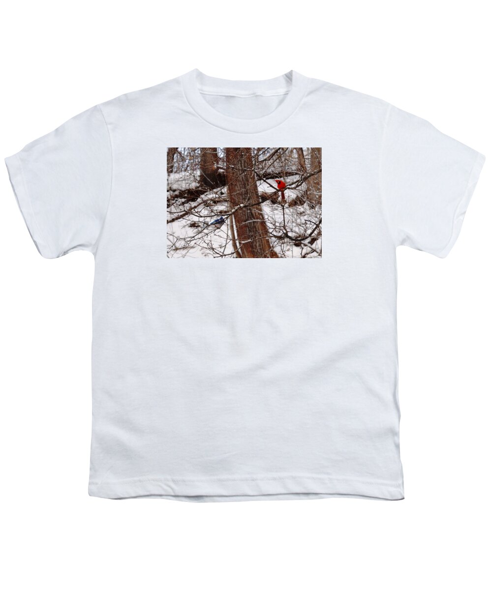 Nature Youth T-Shirt featuring the photograph Curious Cardinal by Peggy King