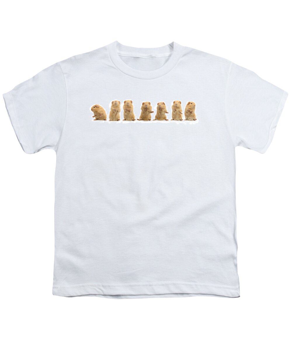 Guinea Pig Youth T-Shirt featuring the photograph Dancing Guinea pig by Warren Photographic