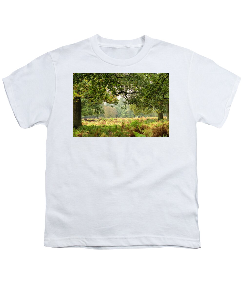 Deer Youth T-Shirt featuring the photograph Deer PArk by Spikey Mouse Photography