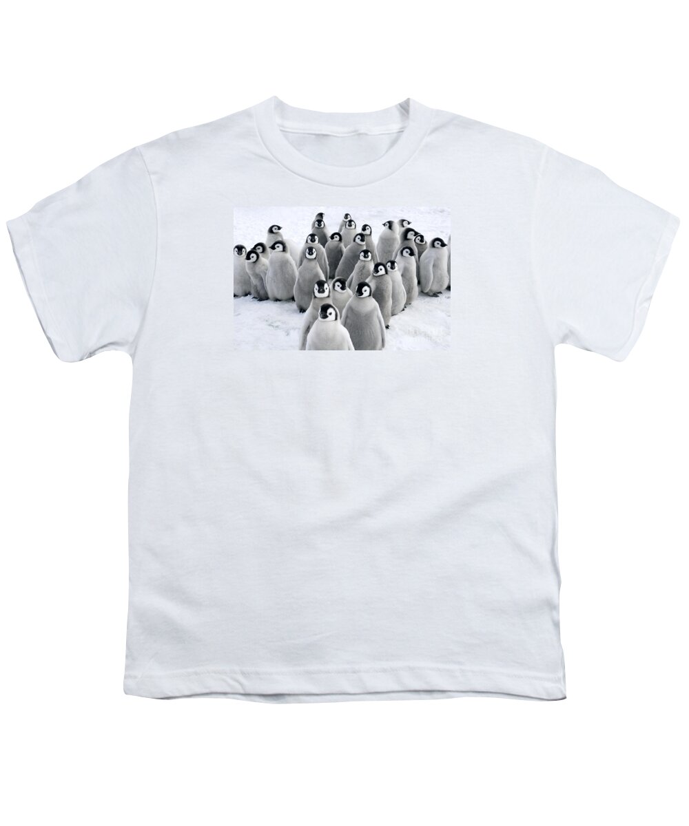 Mp Youth T-Shirt featuring the photograph Emperor Penguin Chicks by Jan Vermeer