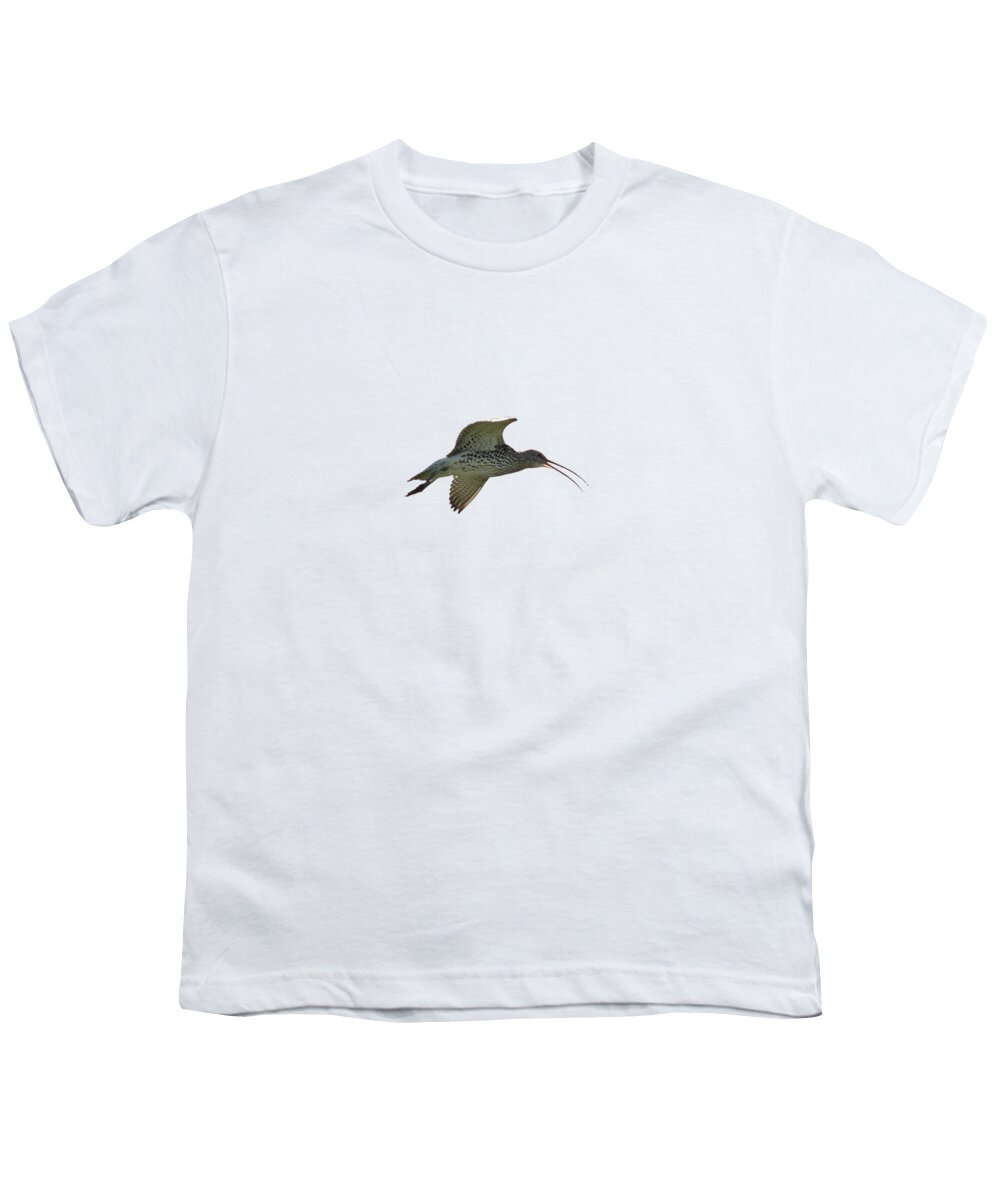 Eurasian Curlew Youth T-Shirt featuring the photograph Eurasian curlew transparent by Jouko Lehto