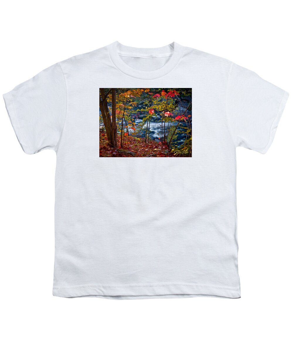 Autumn Youth T-Shirt featuring the photograph Fall - Streamside, by Rikk Flohr