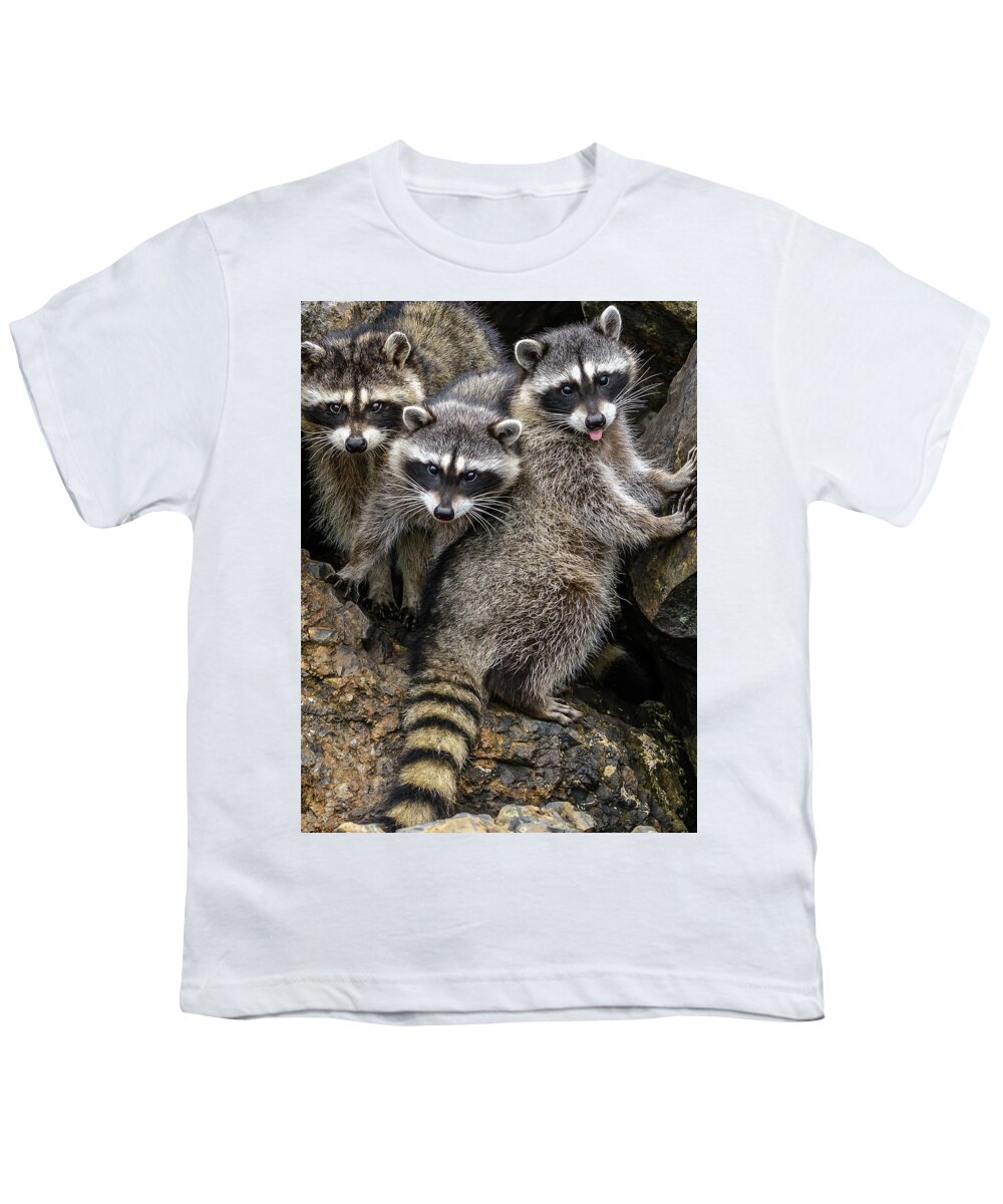 Raccon Youth T-Shirt featuring the photograph Family Portrait by Jerry Cahill
