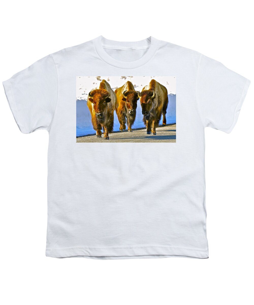 Grand Teton National Park Youth T-Shirt featuring the photograph Feet Don't Fail Me Now #2 by Don Mercer