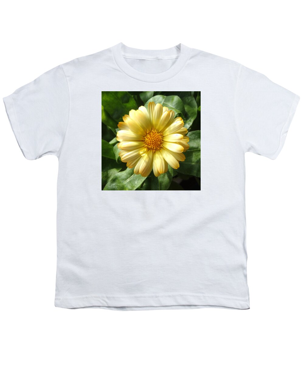 Yellow Youth T-Shirt featuring the photograph First Sign of Summer by Johanna Hurmerinta