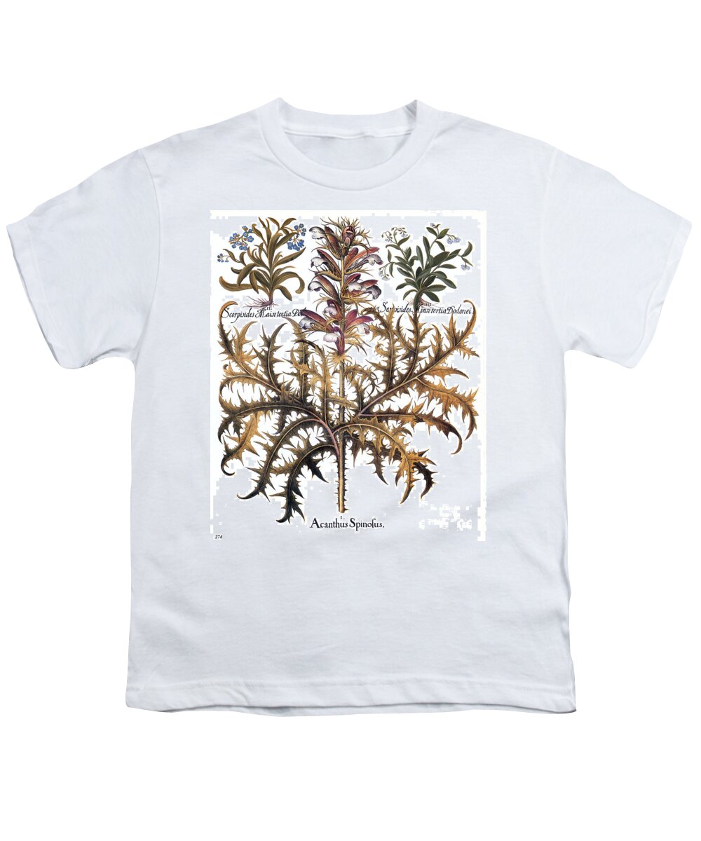 1613 Youth T-Shirt featuring the photograph Forget-me-not & Acanthus by Granger