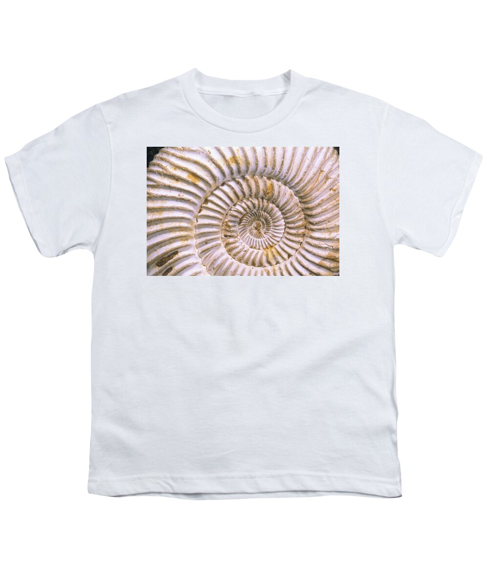 Mp Youth T-Shirt featuring the photograph Fossil Of Ammonite, Madagascar by Pete Oxford