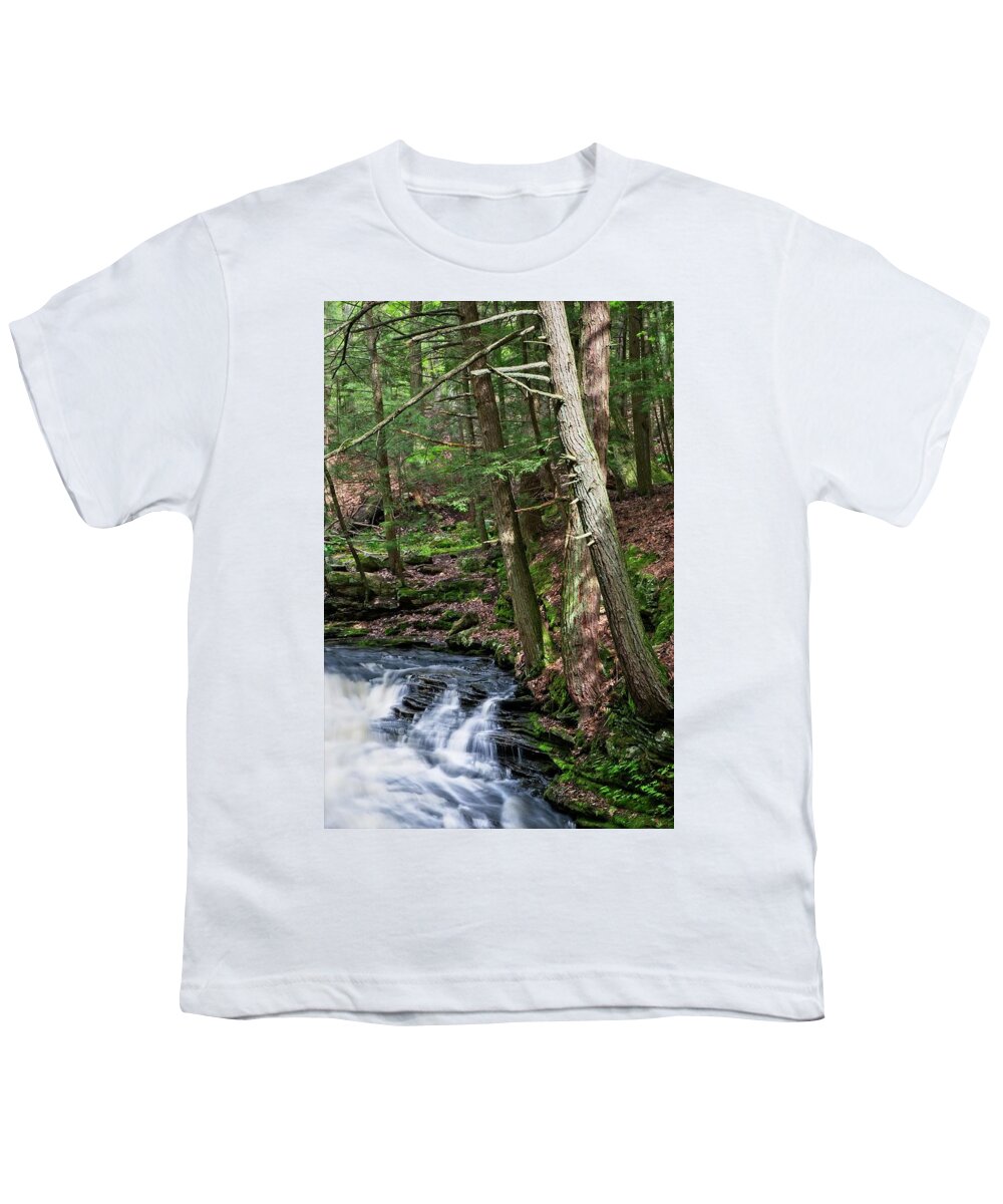 Waterfall Youth T-Shirt featuring the photograph Grayville Falls Study Vertical by Allan Van Gasbeck