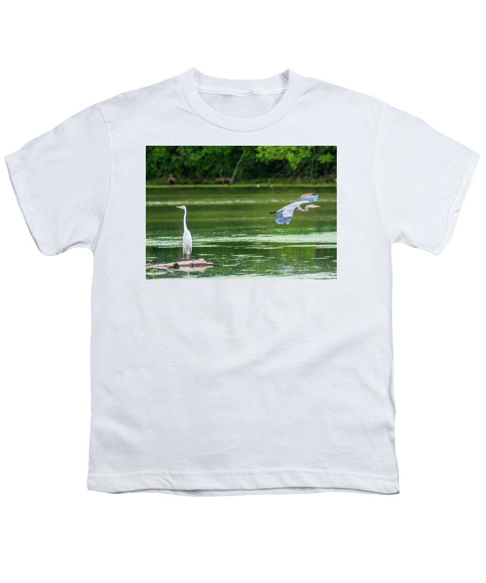 Great Blue Heron Youth T-Shirt featuring the photograph Great Egret And Great Blue Heron by Ed Peterson