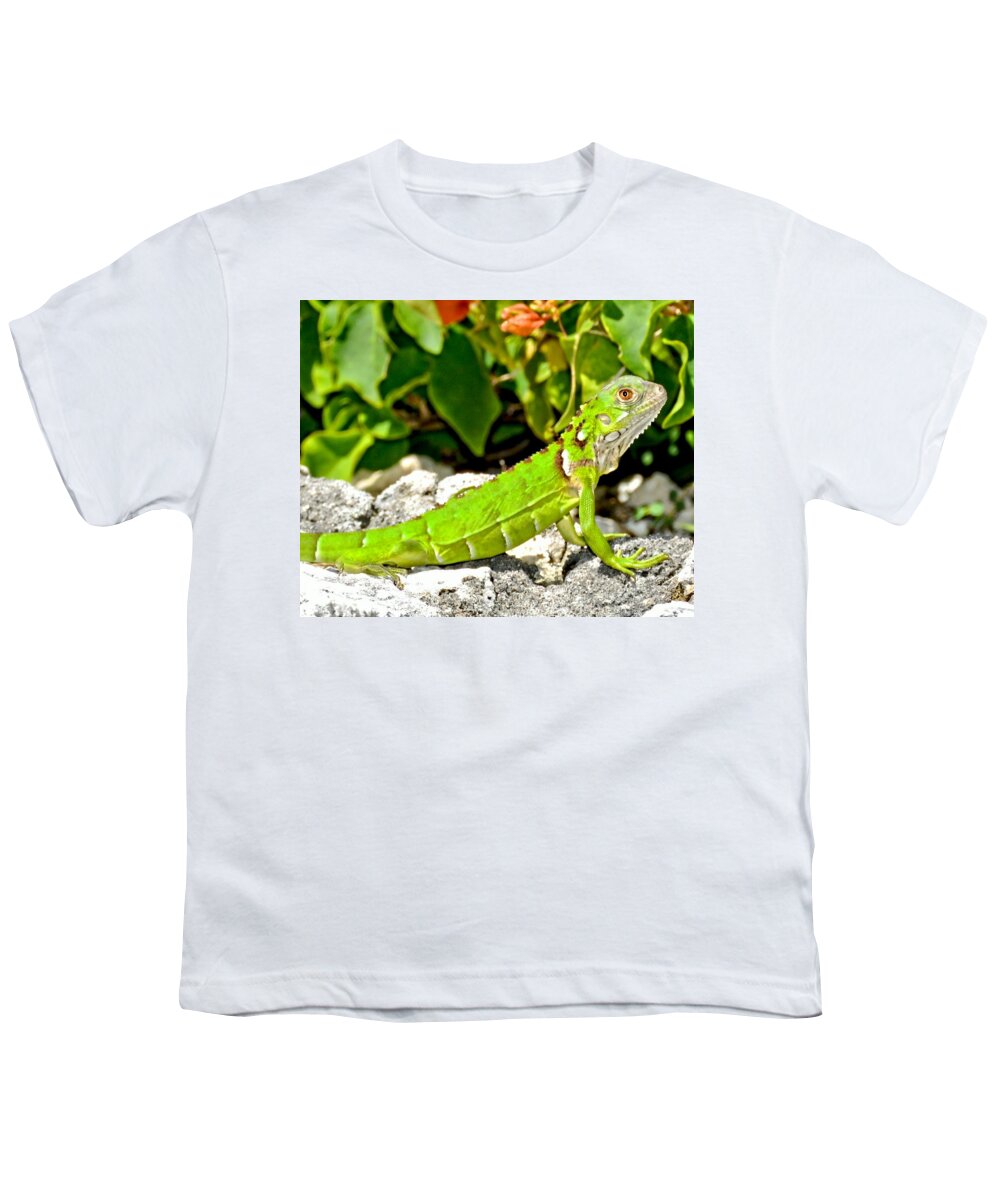 Lizard Youth T-Shirt featuring the photograph Green Iguana by Amy McDaniel