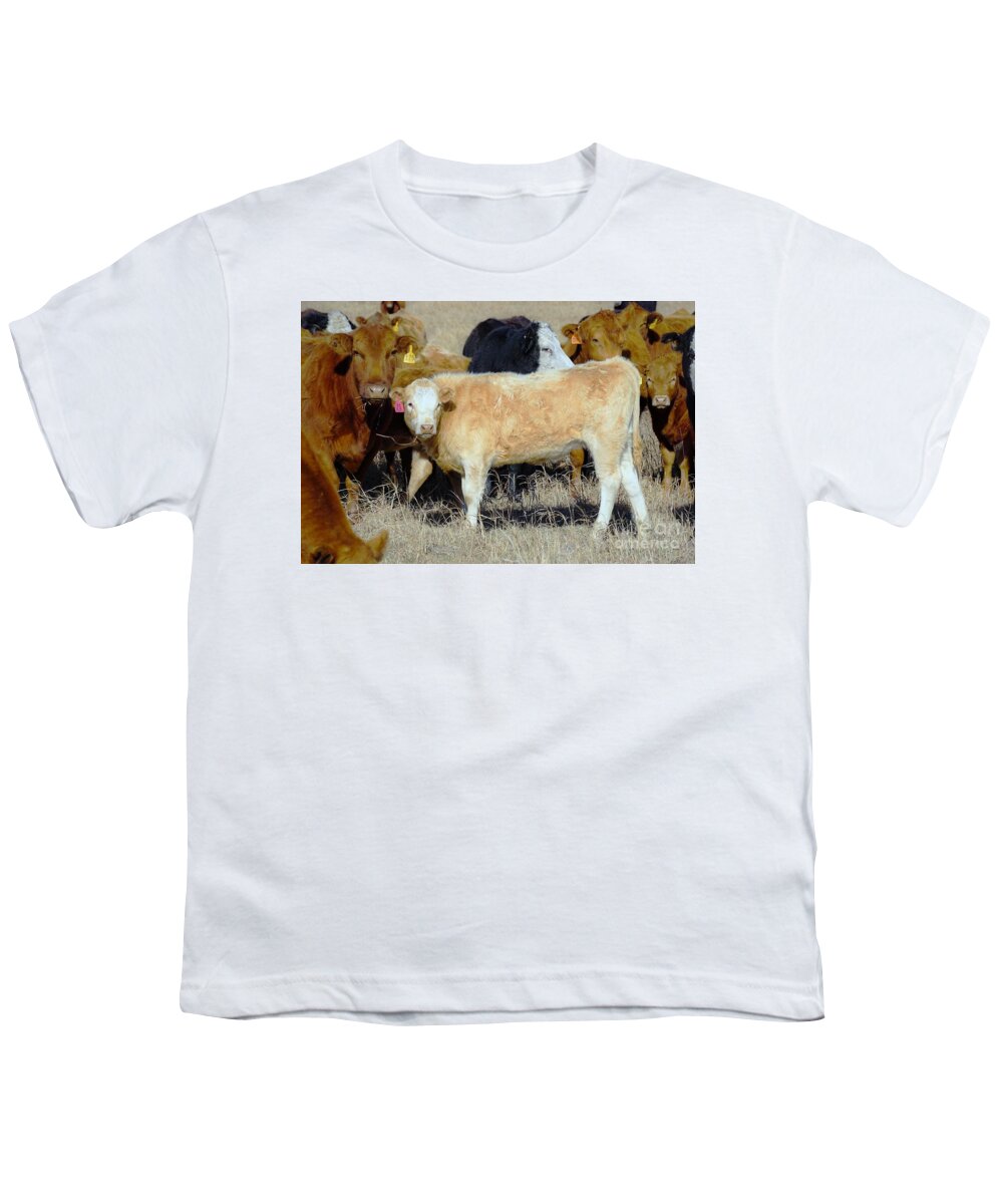 Calf Youth T-Shirt featuring the photograph Growing up by Merle Grenz