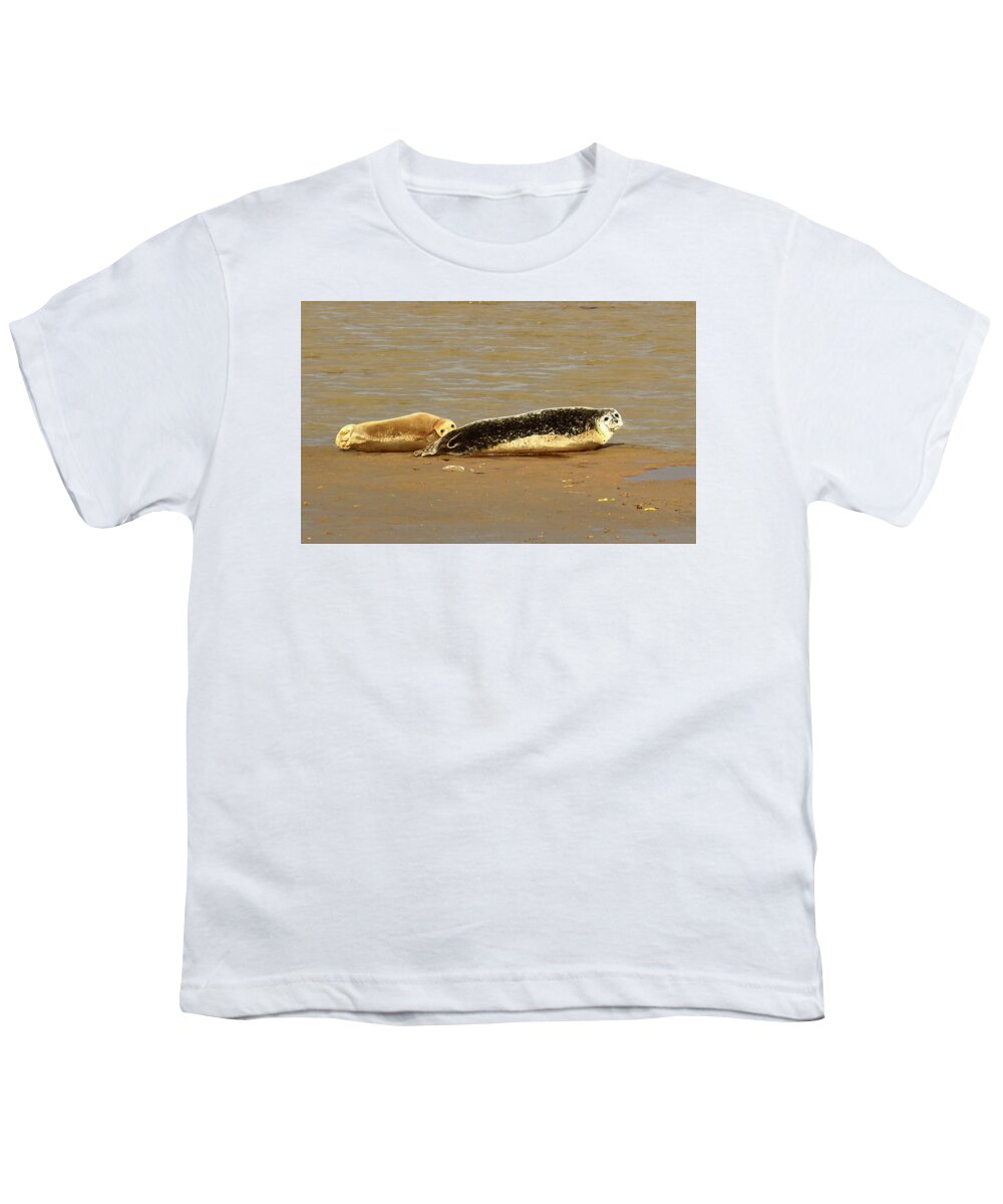 Common Seal Youth T-Shirt featuring the photograph Harbour Seals by Jeff Townsend