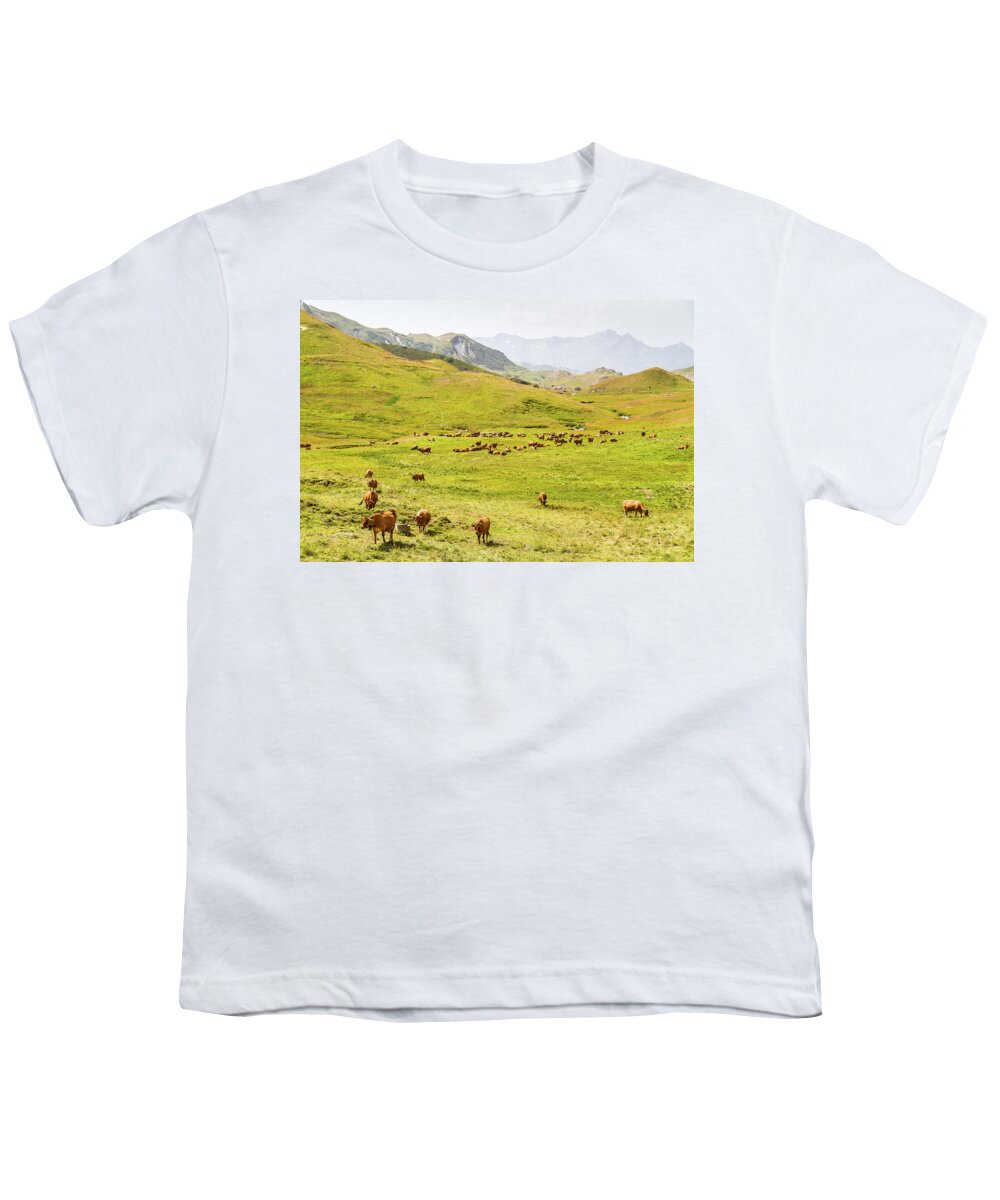 Dairy Cows Youth T-Shirt featuring the photograph Herd of dairy cows - French Alps by Paul MAURICE