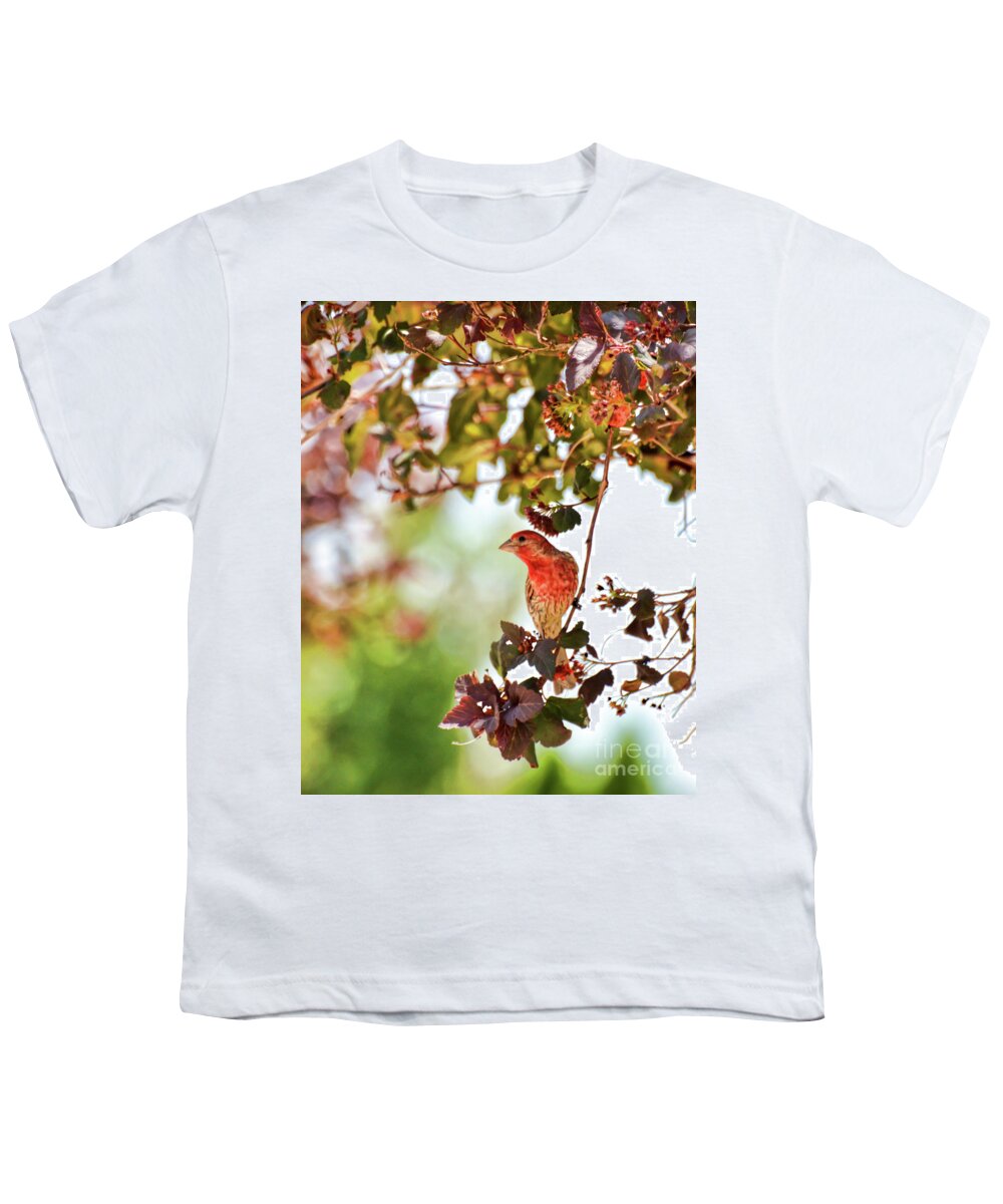 House Finch Youth T-Shirt featuring the photograph House Finch Hanging Around by Kerri Farley