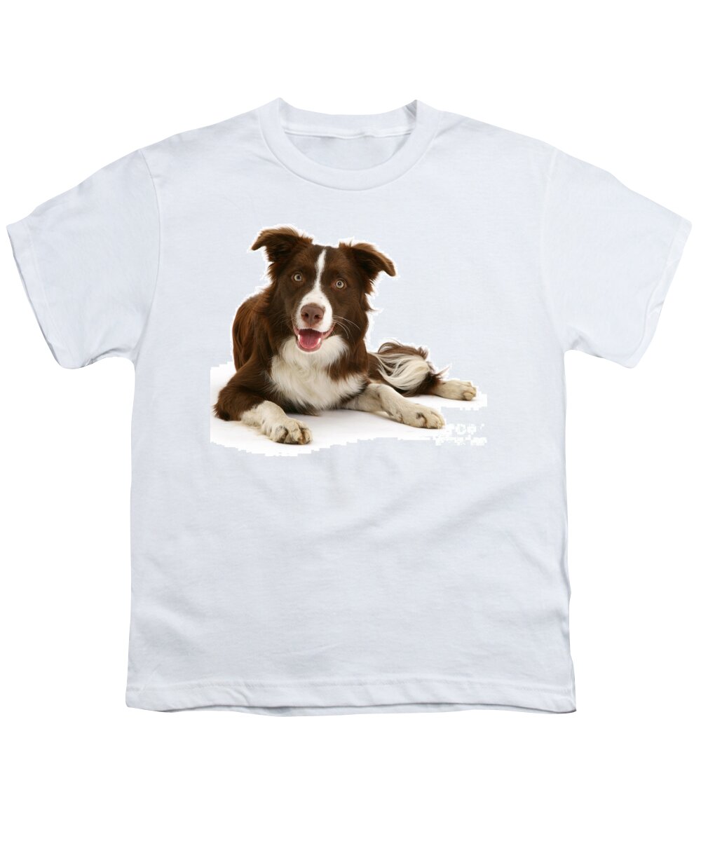 Border Collie Youth T-Shirt featuring the photograph I can Wait all Day for You by Warren Photographic