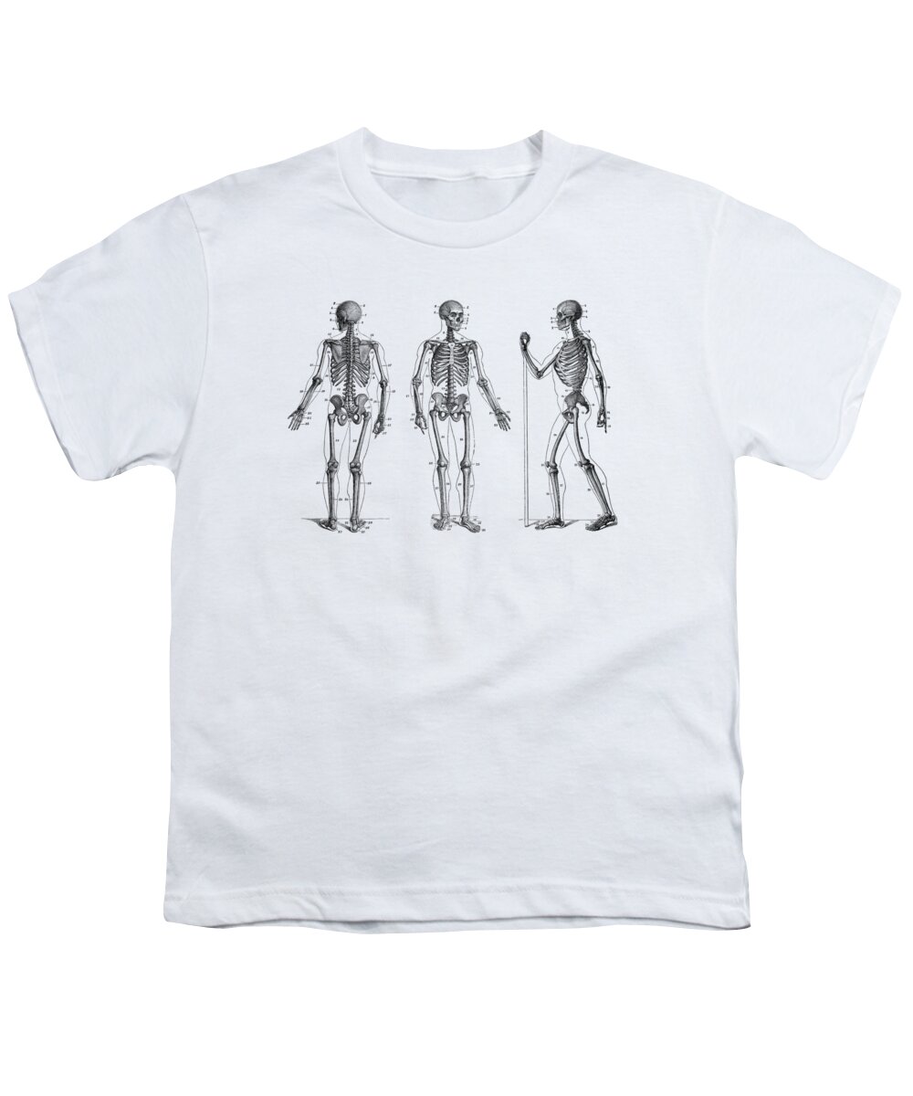 Skeleton Youth T-Shirt featuring the drawing In Motion Skeletal Diagram - Vintage Anatomy 2 by Vintage Anatomy Prints