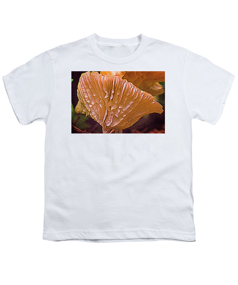 Cantharellus Youth T-Shirt featuring the photograph Interesting Aspect of Cantharellus by Douglas Barnett