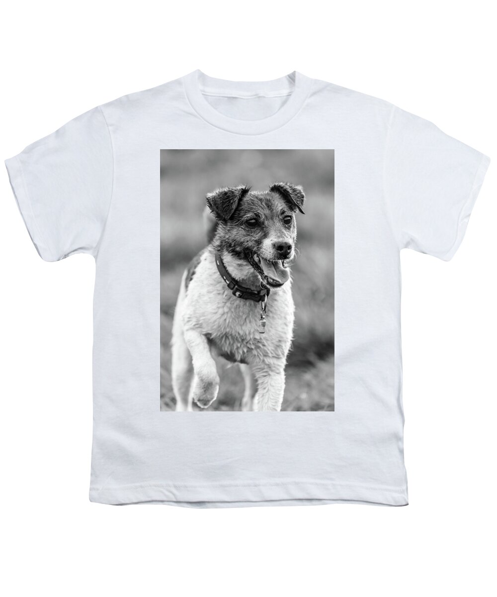 Dog Youth T-Shirt featuring the photograph Jack Russell Terrier by Nick Bywater