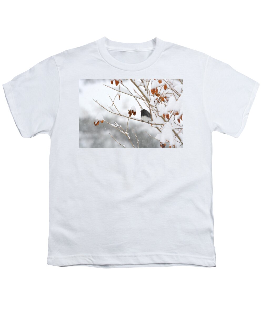 Junco Youth T-Shirt featuring the photograph Junco in Snow and Copper Leaves by Tana Reiff