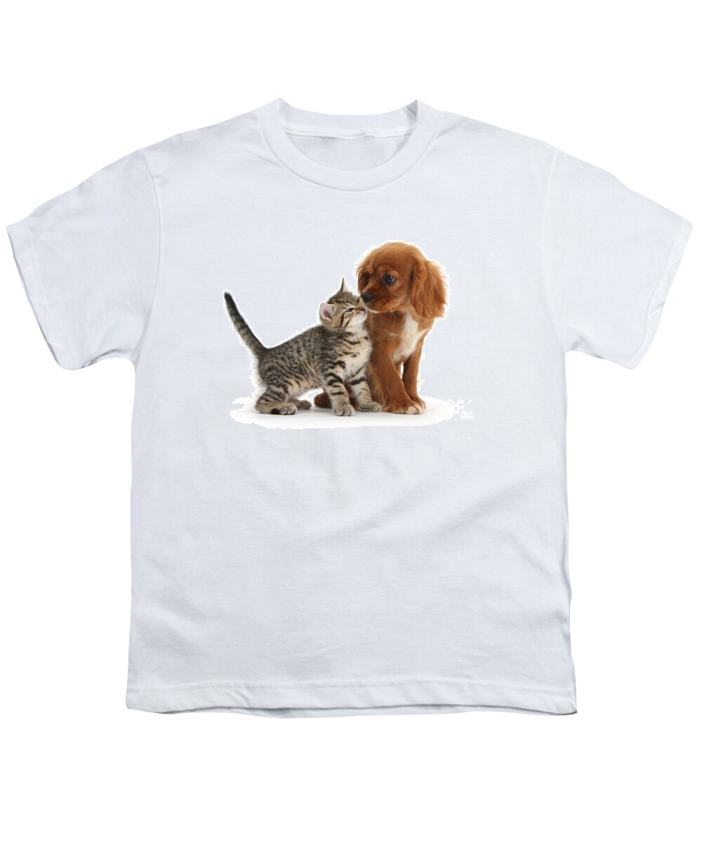 Ruby Cavalier Spaniel Youth T-Shirt featuring the photograph Kiss Please by Warren Photographic