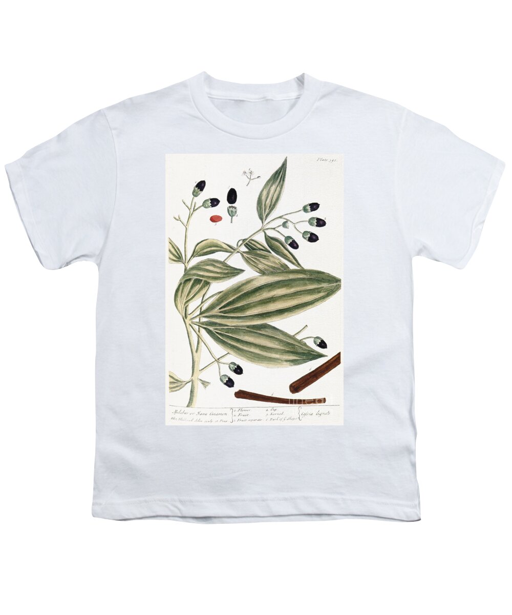 1730s Youth T-Shirt featuring the photograph Malabar Cinnamon, 1735 by Granger