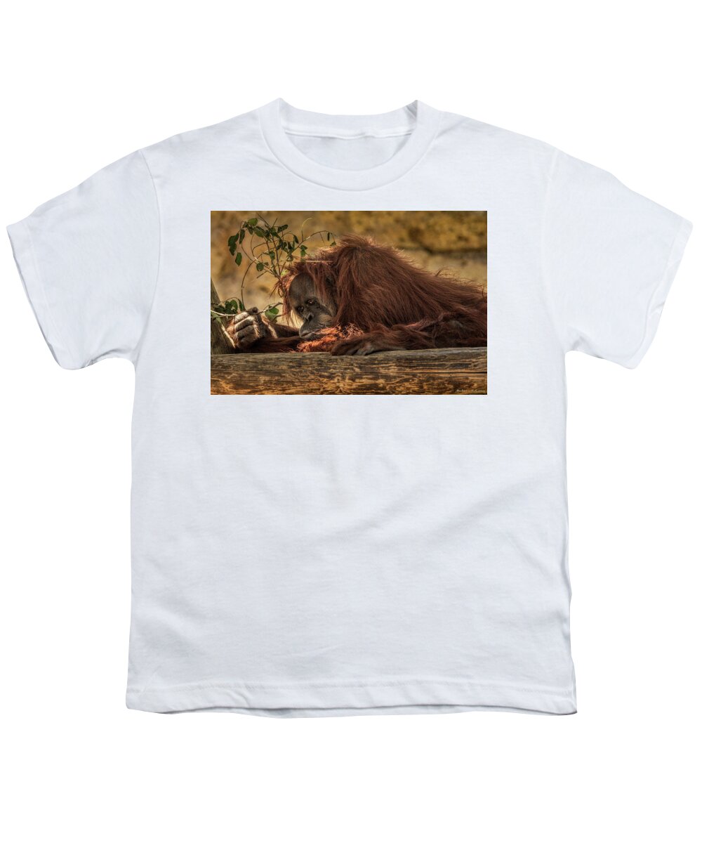 Orangutan Youth T-Shirt featuring the photograph Melancholy by Michael McKenney