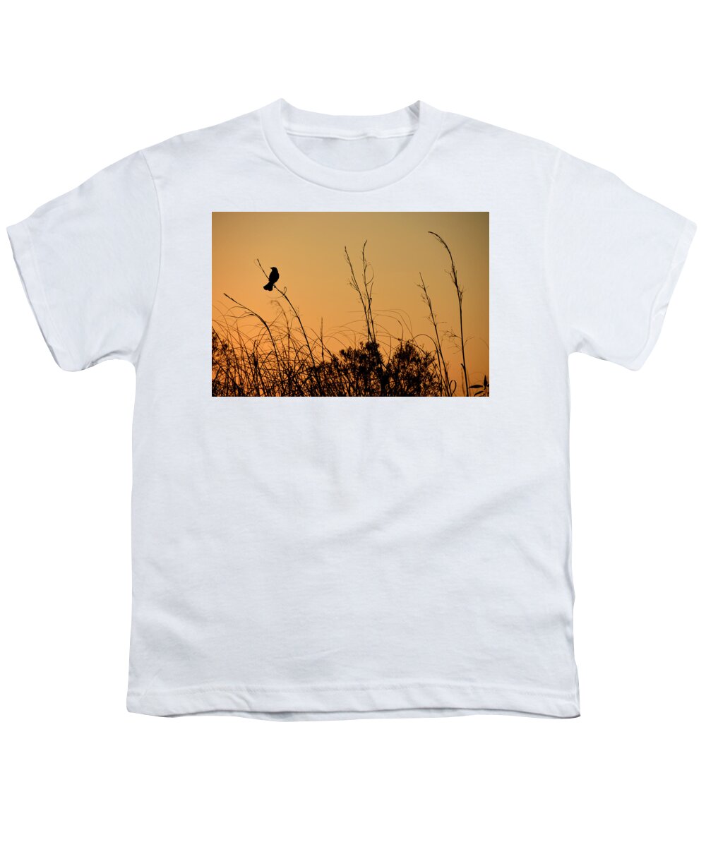 Sun Youth T-Shirt featuring the photograph Melody At Dusk by Lorenzo Cassina