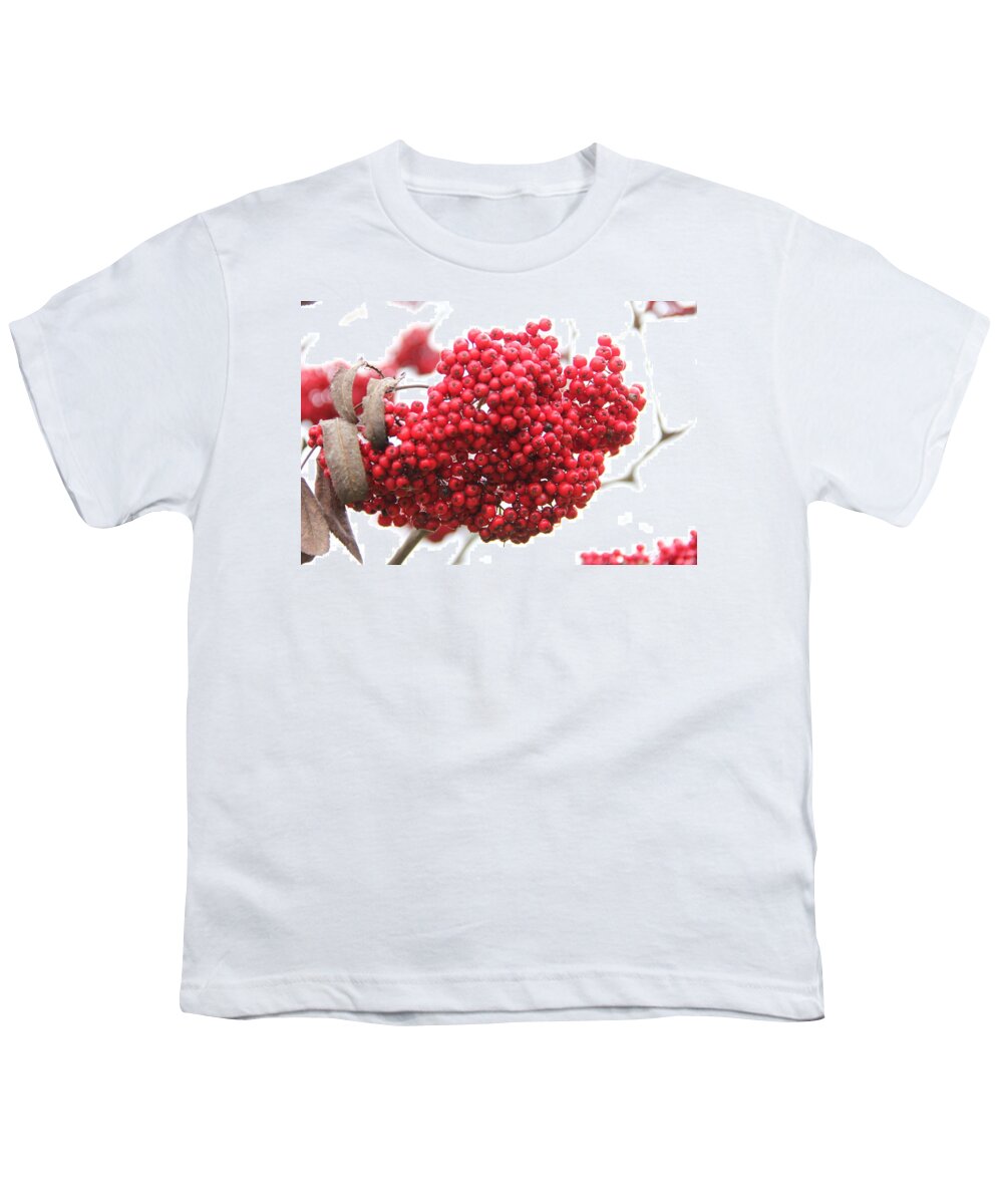 Mountain Ash Youth T-Shirt featuring the photograph Mountain Ash Berries by Allen Nice-Webb