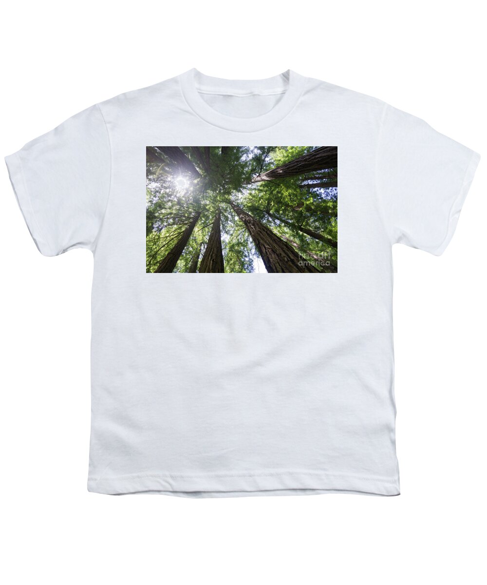 Tree Youth T-Shirt featuring the photograph Muir Woods No.1 by Scott Evers